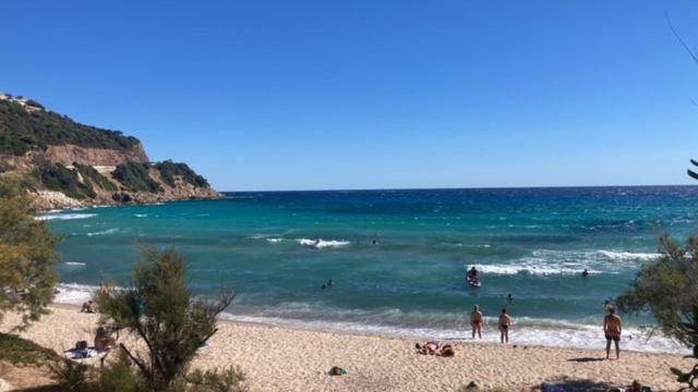Le Corail Rouge Corse