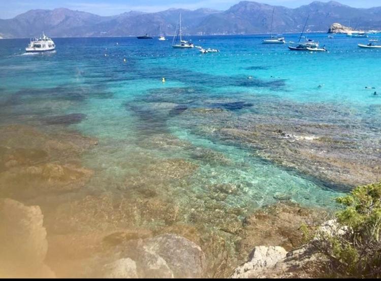 Le Corail Rouge Corse *