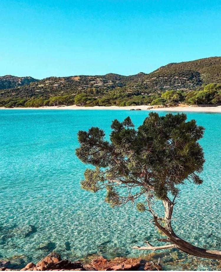 Le Corail Rouge Corse Villa