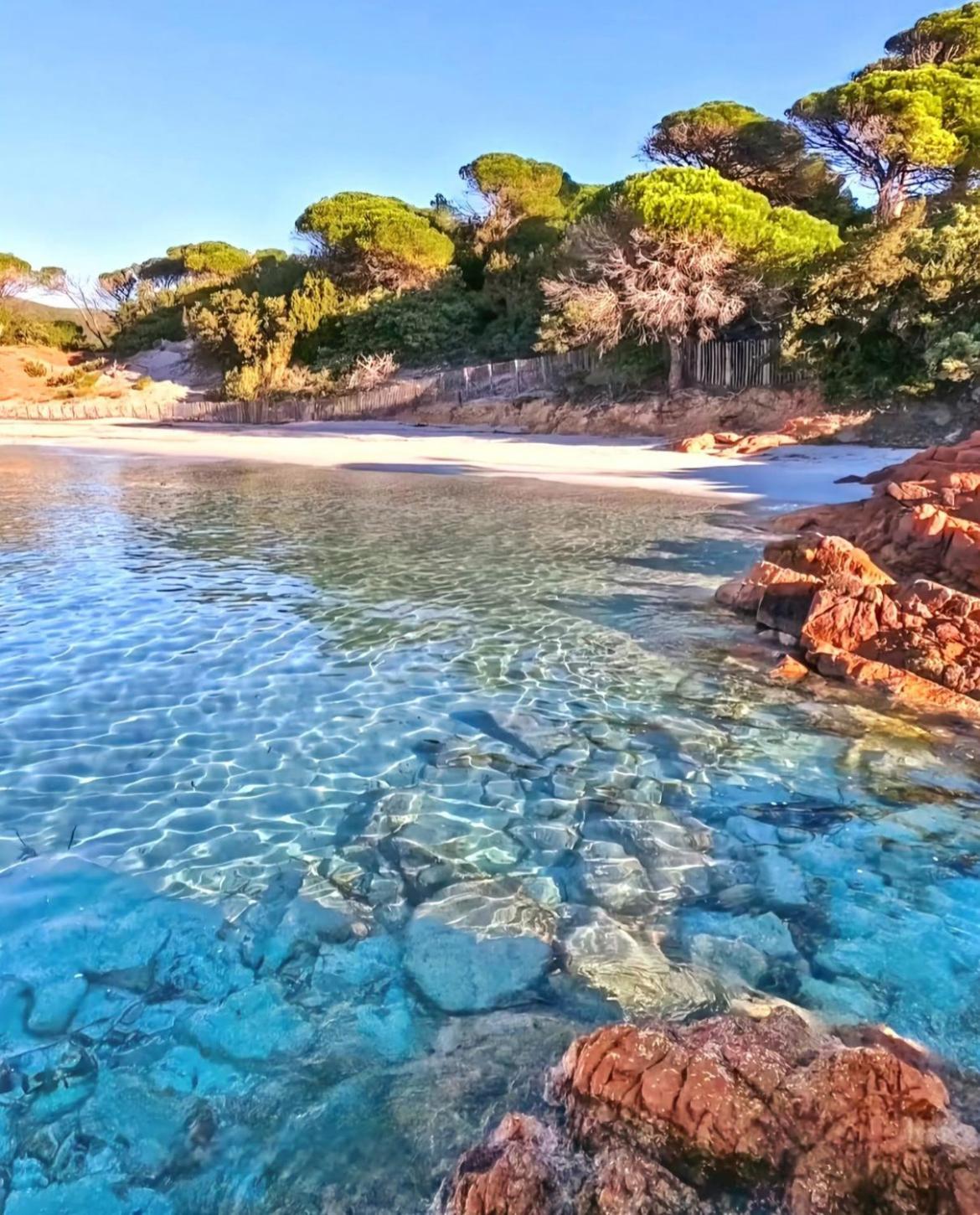 Le Corail Rouge Corse